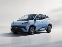 BYD Dolphin Surf Active 55 KW 88 CP