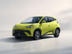 BYD Dolphin Surf Active 55 KW 88 CP