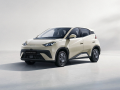 BYD Dolphin Surf Active 55 KW 88 CP